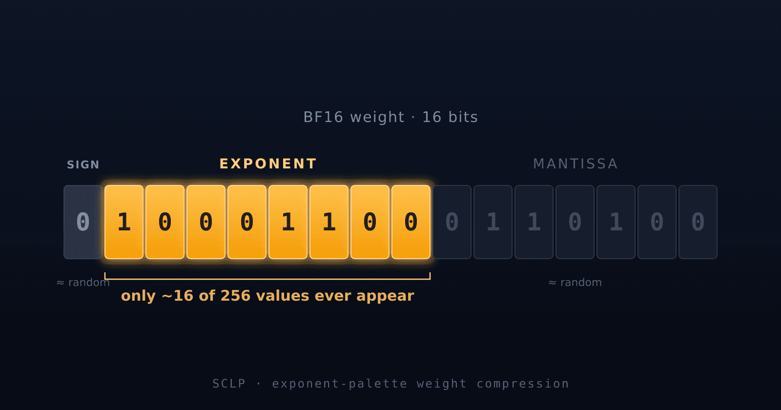 LLMs Use Just 16 of 256 Exponents — So We Compressed the Rest Away